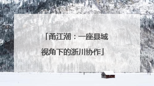 甬江潮：一座县域视角下的浙川协作