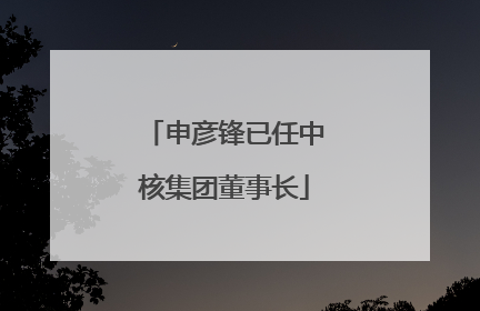 申彦锋已任中核集团董事长