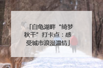 白龟湖畔“绮梦秋千”打卡点：感受城市浪漫温情