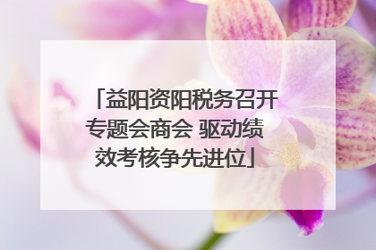 益阳资阳税务召开专题会商会 驱动绩效考核争先进位