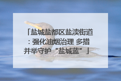 盐城盐都区盐渎街道：强化油烟治理 多措并举守护“盐城蓝”