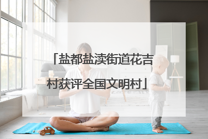 盐都盐渎街道花吉村获评全国文明村