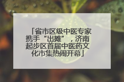 省市区级中医专家携手“出摊”，济南起步区首届中医药文化市集热闹开幕