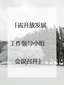 省开放发展工作领导小组会议召开