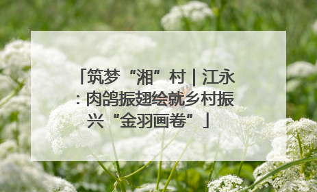 筑梦“湘”村｜江永：肉鸽振翅绘就乡村振兴“金羽画卷”