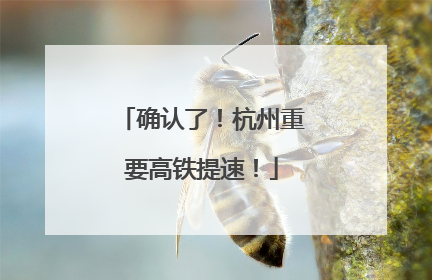 确认了！杭州重要高铁提速！