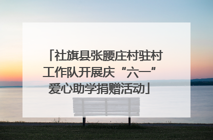 社旗县张腰庄村驻村工作队开展庆“六一”爱心助学捐赠活动