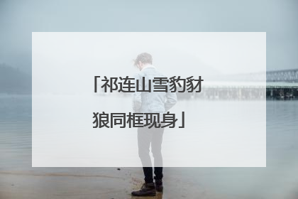 祁连山雪豹豺狼同框现身