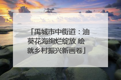禹城市中街道：油葵花海绚烂绽放 绘就乡村振兴新画卷