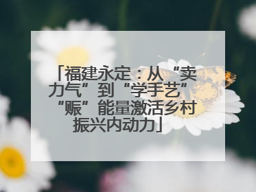 福建永定：从“卖力气”到“学手艺”“赈”能量激活乡村振兴内动力