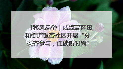 移风易俗｜威海高区田和街道银杏社区开展“分类齐参与，低碳新时尚”垃圾分类主题宣传活动
