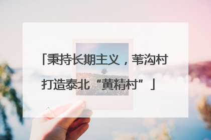 秉持长期主义，苇沟村打造泰北“黄精村”