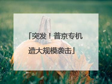 突发！普京专机遭大规模袭击