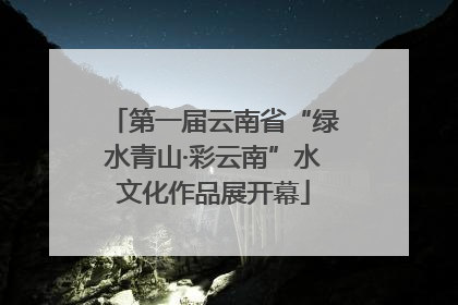 第一届云南省“绿水青山·彩云南”水文化作品展开幕