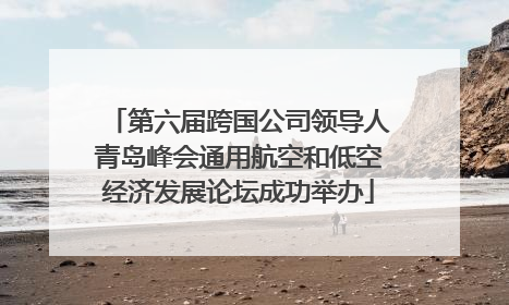 第六届跨国公司领导人青岛峰会通用航空和低空经济发展论坛成功举办