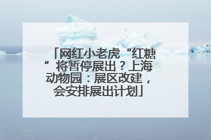 网红小老虎“红糖”将暂停展出？上海动物园：展区改建，会安排展出计划