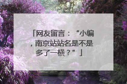 网友留言：“小编，南京站站名是不是多了一横？”