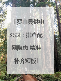 罗山县供电公司：排查配网隐患 精准补齐短板