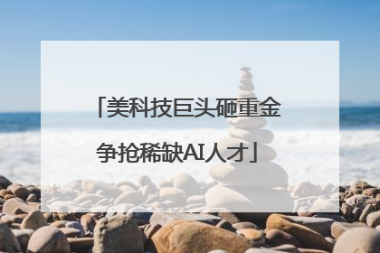 美科技巨头砸重金争抢稀缺AI人才