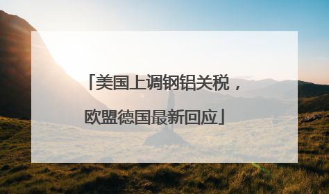 美国上调钢铝关税，欧盟德国最新回应
