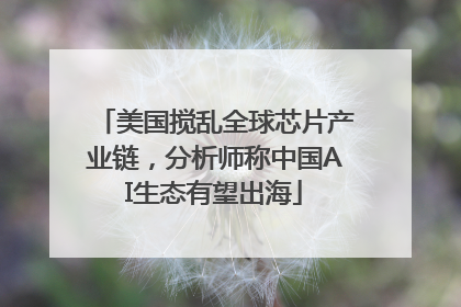 美国搅乱全球芯片产业链，分析师称中国AI生态有望出海