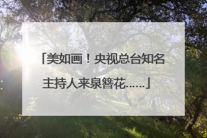 美如画！央视总台知名主持人来泉簪花……