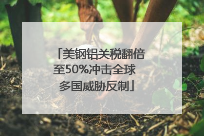 美钢铝关税翻倍至50%冲击全球 多国威胁反制
