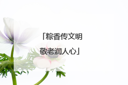 粽香传文明 敬老润人心
