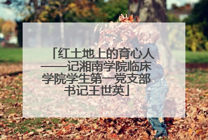 红土地上的育心人——记湘南学院临床学院学生第一党支部书记王世英