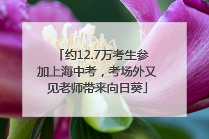 约12.7万考生参加上海中考，考场外又见老师带来向日葵