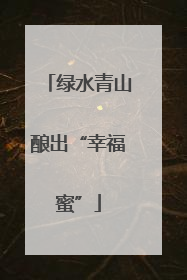 绿水青山酿出“幸福蜜”
