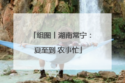 组图丨湖南常宁：夏至到 农事忙