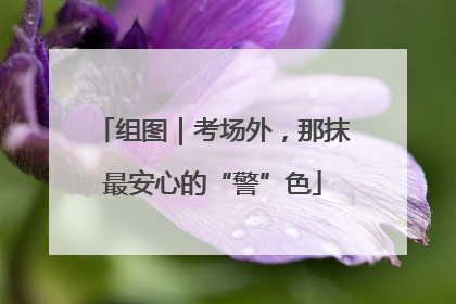 组图｜考场外，那抹最安心的“警”色