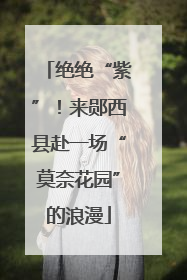 绝绝“紫”！来郧西县赴一场“莫奈花园”的浪漫