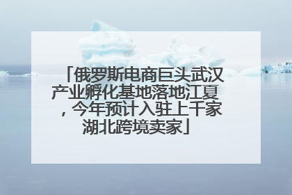 俄罗斯电商巨头武汉产业孵化基地落地江夏，今年预计入驻上千家湖北跨境卖家