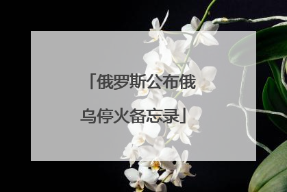 俄罗斯公布俄乌停火备忘录