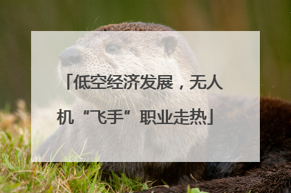 低空经济发展，无人机“飞手”职业走热