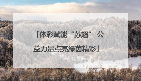 体彩赋能“苏超” 公益力量点亮绿茵精彩