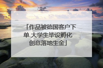作品被德国客户下单 大学生毕设孵化创意落地生金