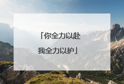你全力以赴 我全力以护