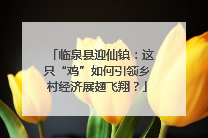 临泉县迎仙镇：这只“鸡”如何引领乡村经济展翅飞翔？