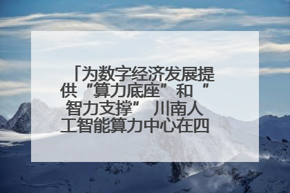 为数字经济发展提供“算力底座”和“智力支撑” 川南人工智能算力中心在四川泸州启动
