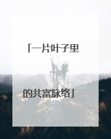 一片叶子里的共富脉络
