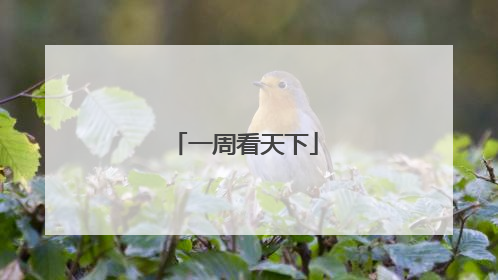 一周看天下