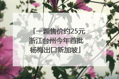 一颗售价约25元 浙江台州今年首批杨梅出口新加坡