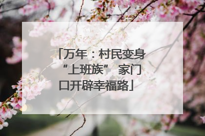 万年：村民变身“上班族” 家门口开辟幸福路