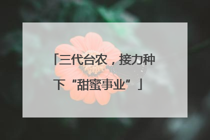 三代台农，接力种下“甜蜜事业”