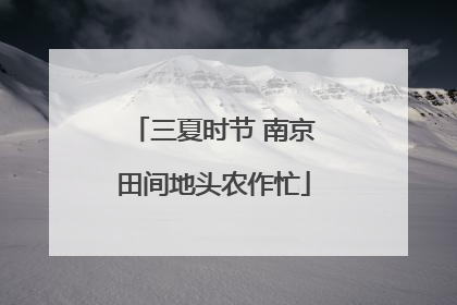 三夏时节 南京田间地头农作忙