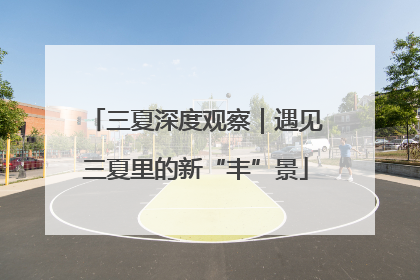 三夏深度观察｜遇见三夏里的新“丰”景