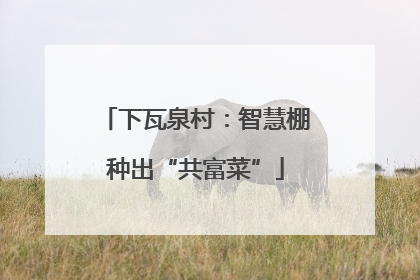 下瓦泉村：智慧棚种出“共富菜”